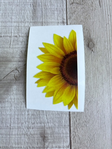 Half Sunflower White Cast