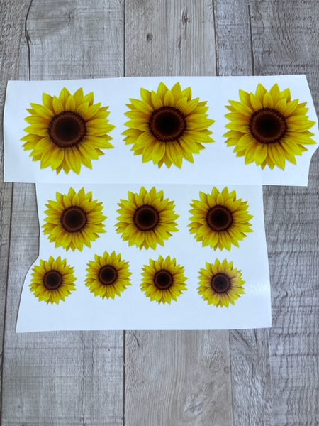 Sunflower Bundle White Cast