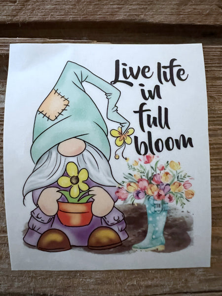 Live life in full bloom Clear Cast